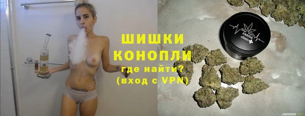 дмт Козельск