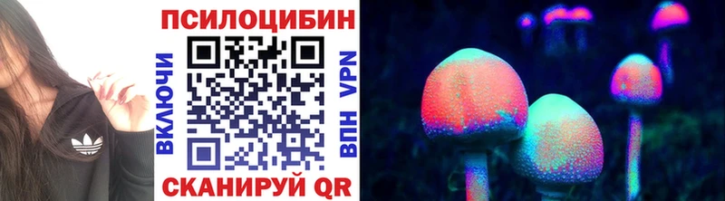 Псилоцибиновые грибы прущие грибы  OMG зеркало  Берёзовский 
