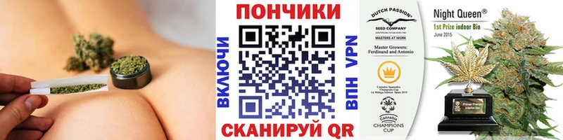 Шишки марихуана гибрид Берёзовский